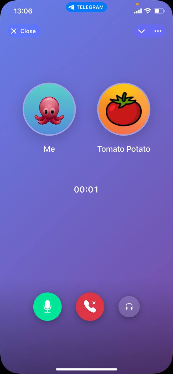 Call example step 10